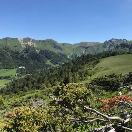 T2 Mont-dore Avec Wifi Et Parking - Fr-1-608-193 Apartment *