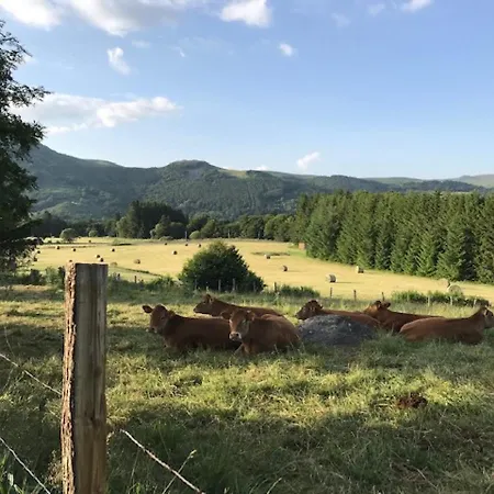 T2 Mont-dore Avec Wifi Et Parking - Fr-1-608-193 Apartmán