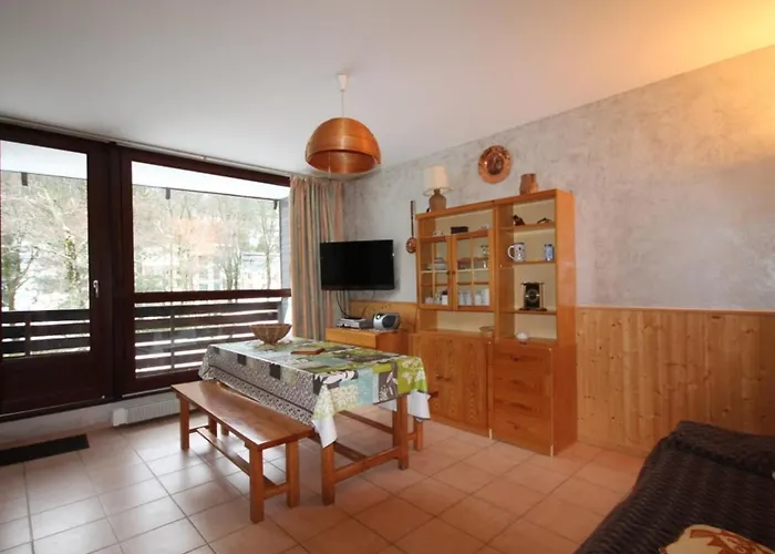 T2 Mont-dore Avec Wifi Et Parking - Fr-1-608-193 Appartement