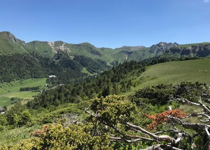 T2 Mont-dore Avec Wifi Et Parking - Fr-1-608-193 Apartment *