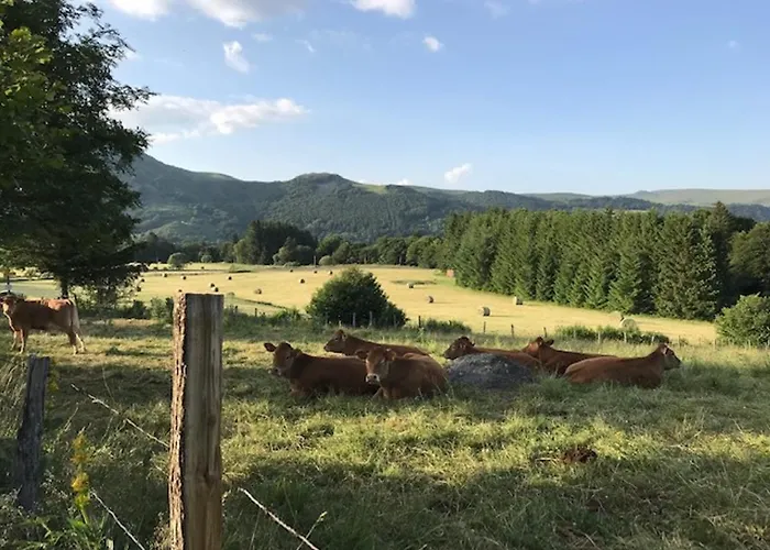 T2 Mont-dore Avec Wifi Et Parking - Fr-1-608-193 Appartement